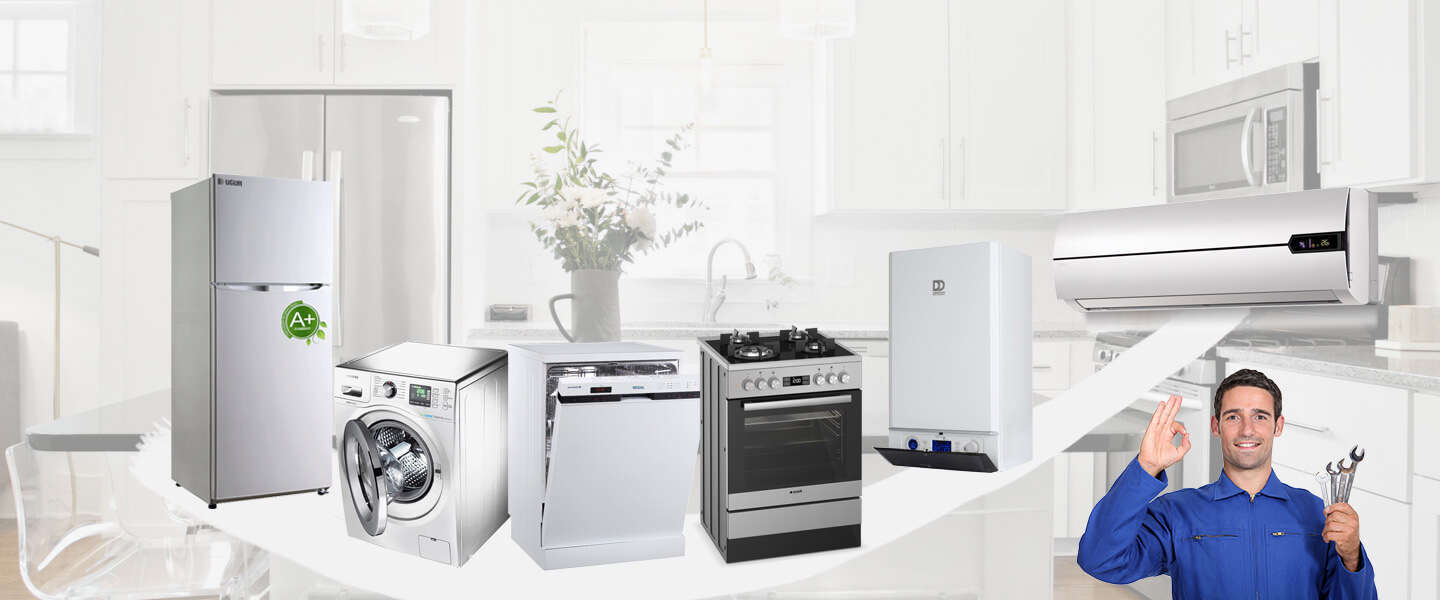 Hatundere Electrolux Servisi